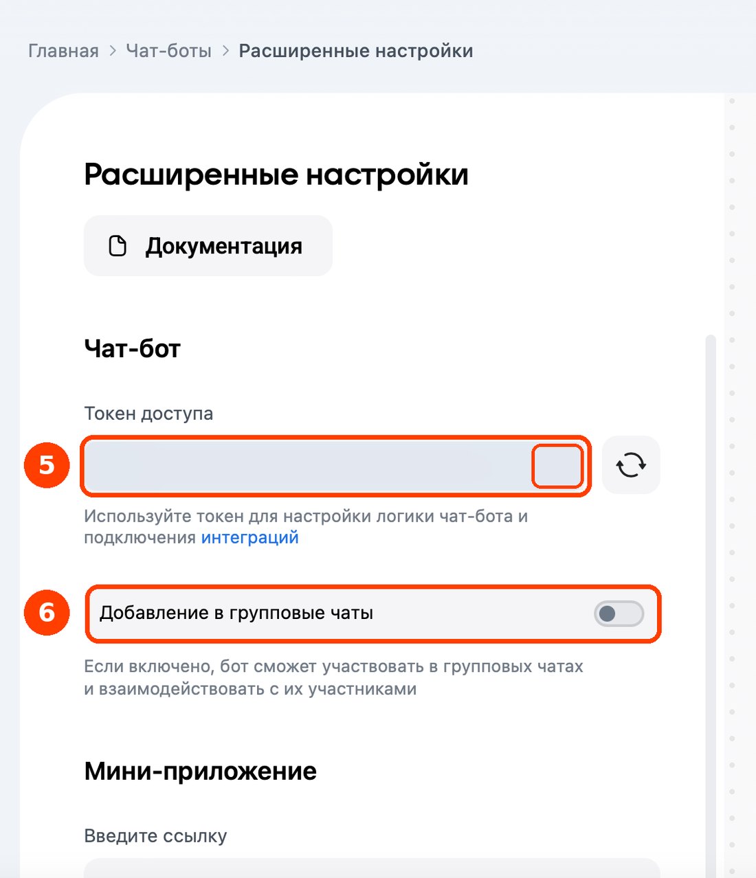 Шаг 5 и 6: поле «Токен доступа» и переключатель групповых чатов
